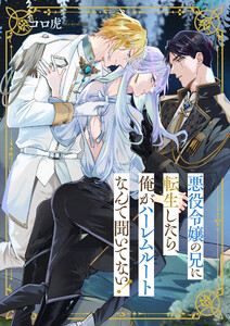 悪役令嬢の兄に転生したら、俺がハーレムルートなんて聞いてない! (2) 電子書籍版