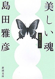 美しい魂―無限カノン2―(新潮文庫) 電子書籍版