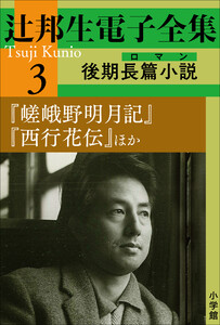 辻邦生電子全集 3巻 後期長篇小説(ロマン)『嵯峨野明月記』『西行花伝』ほか
