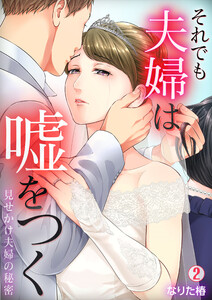 それでも夫婦は嘘をつく~見せかけ夫婦の秘密~(2) 電子書籍版