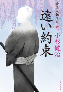 遠い約束 素浪人始末記(六)