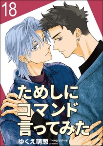 ためしにコマンド言ってみた(分冊版) 【第18話】 電子書籍版