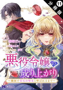 悪役令嬢の成り上がり～隣国で宝石の聖女と呼ばれるまで～(コミック) 分冊版 : 11