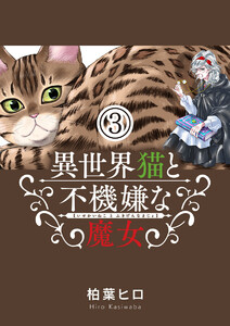 異世界猫と不機嫌な魔女【単話】 (3) 電子書籍版
