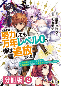 どれだけ努力しても万年レベル0の俺は追放された~神の敵と呼ばれた少年は、社畜女神と出会って最強の力を手に入れる~【分冊版】(ノヴァコミックス)2 電子書籍版