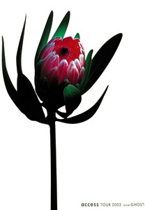 access『access TOUR 2003 -Livin’ GHOST-』オフィシャル・ツアーパンフレット【デジタル版】 電子書籍版