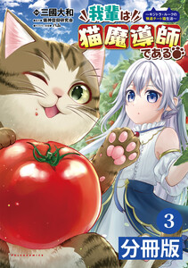 我輩は猫魔導師である~キジトラ・ルークの快適チート猫生活~【分冊版】(ポルカコミックス)3 電子書籍版