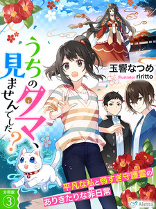 【分冊版】うちのタマ、見ませんでした?～平凡な私と弱すぎ守護霊のありきたりな非日常～(3) 電子書籍版