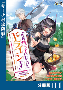 先日救っていただいたドラゴンです【分冊版】(ノヴァコミックス)11