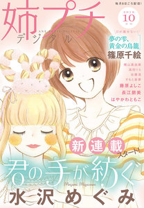 姉系Petit Comic