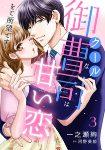 クールな御曹司は甘い恋をご所望です【分冊版】3話 電子書籍版