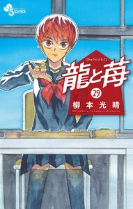 龍と苺 (29)