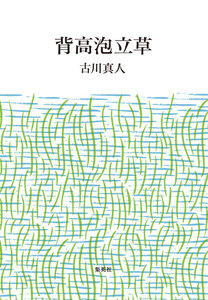 背高泡立草