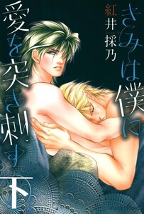 きみは僕に愛を突き刺す (下) 電子書籍版