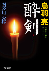 酔剣 闇の用心棒〈十〉 電子書籍版