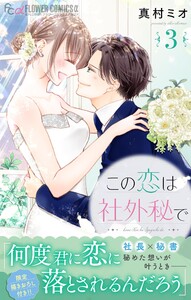 この恋は社外秘で (3) 電子書籍版
