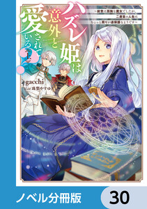ハズレ姫は意外と愛されている?【ノベル分冊版】 30 電子書籍版
