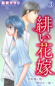 緋い花嫁~契約婚と彼と拗れた一族~ (3) 電子書籍版