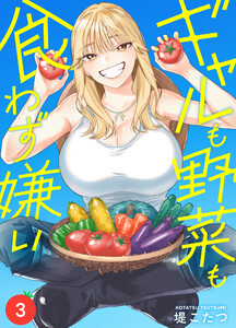 ギャルも野菜も食わず嫌い(3) 電子書籍版