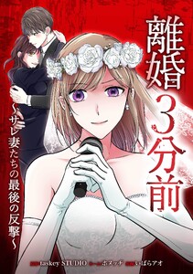 離婚3分前 ～サレ妻たちの最後の反撃～第13話