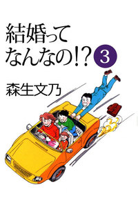 結婚ってなんなの!? (3) 電子書籍版