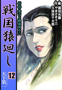 戦国猿廻し 信長・秀吉と蜂須賀小六 (12) 電子書籍版