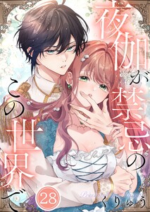 【フルカラー】夜伽が禁忌のこの世界で(28)