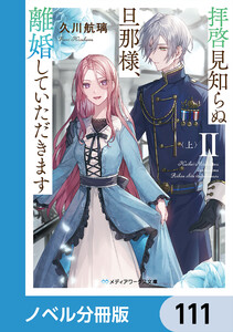 拝啓見知らぬ旦那様、離婚していただきます【ノベル分冊版】 111 電子書籍版