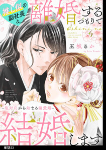 推し似の副社長と離婚するつもりで結婚します～塩対応から始まる溺愛婚～【単話】(23) 電子書籍版