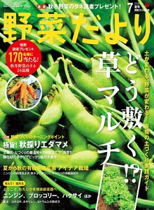 野菜だより 2026年7月号