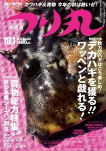 つり丸 2013年 10/1号 電子書籍版