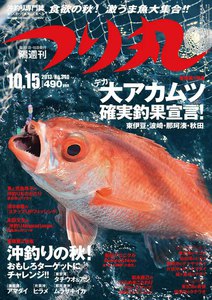 つり丸 2013年 10/15号 電子書籍版