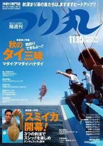 つり丸 2013年 11/15号 電子書籍版