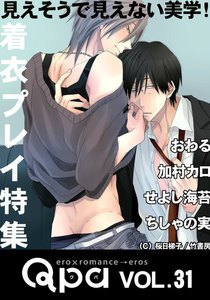Qpa vol.31 着衣プレイ ~見えそうで見えない美学!~ 電子書籍版