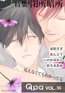 Qpa vol.36 閉所暗所 ~見えなくてもわかってる~ 電子書籍版
