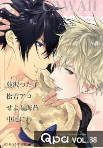 Qpa vol.38 カワイイ 電子書籍版