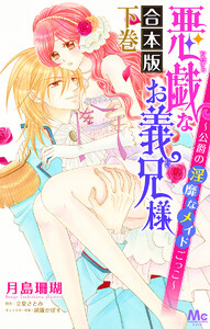 【合本版】悪戯なお義兄様～公爵の淫靡なメイドごっこ～ 下 電子書籍版