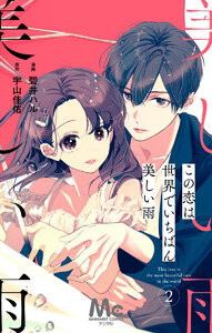 【分冊版】この恋は世界でいちばん美しい雨 (2) 電子書籍版