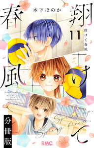 翔けて春風 分冊版 (11)