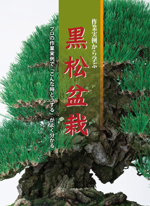 作業実例から学ぶ 黒松盆栽