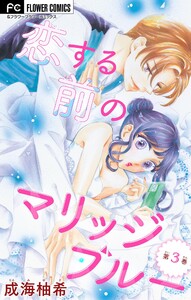 恋する前のマリッジブルー【マイクロ】 (3) 電子書籍版