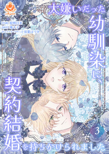 大嫌いだった幼馴染に、契約結婚を持ちかけられました【合本版】3 電子書籍版