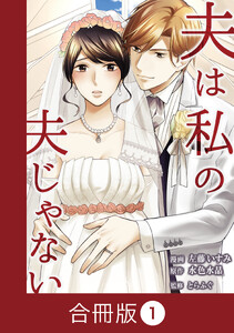 夫は私の夫じゃない【合冊版】(1)