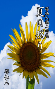 堺仙人第二句集 夏日照り