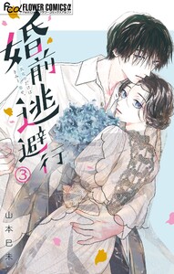 婚前逃避行【マイクロ】 (3) 電子書籍版