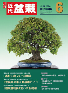 近代盆栽2024年6月号 電子書籍版