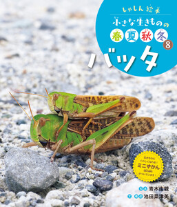 バッタ8 しゃしん絵本 小さな生きものの春夏秋冬 電子書籍版