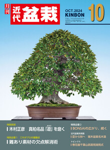 近代盆栽2024年10月号 電子書籍版