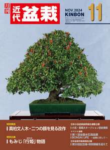 近代盆栽2024年11月号 電子書籍版