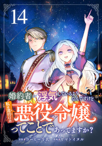 婚約者が浮気しているようなんですけど私は流行りの悪役令嬢ってことであってますか? (14)